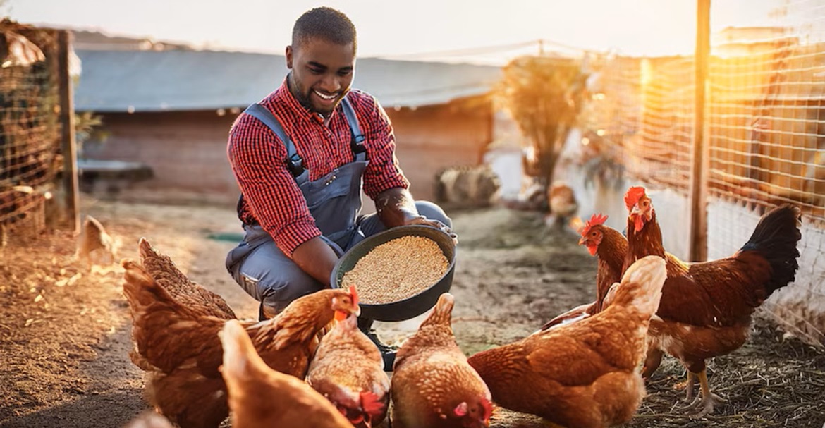 The Health Benefits of Eating Farm-Fresh Poultry
